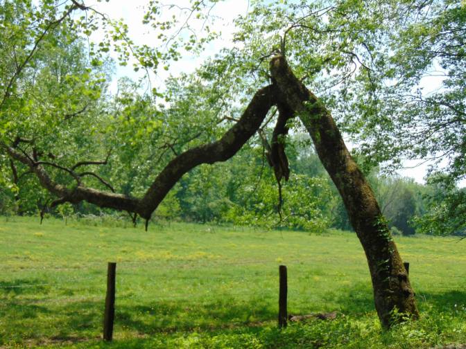 11136158_10153262590429194_7847313676115559157_o