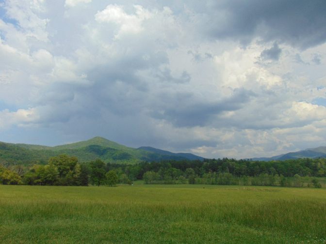 11187282_10153262569479194_2969782433624314499_o - Copy