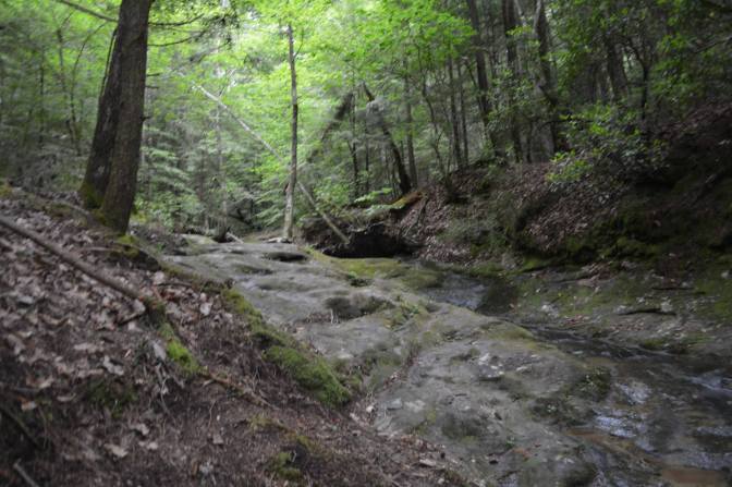 13147334_10154101936254194_1389921084941957682_o