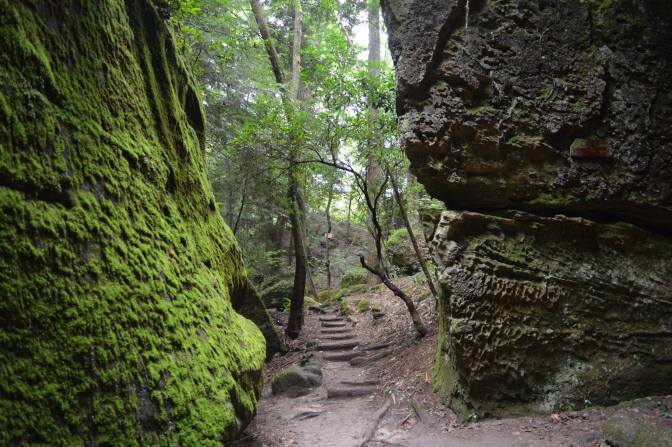 13490597_10154213950609194_1474370273677769100_o