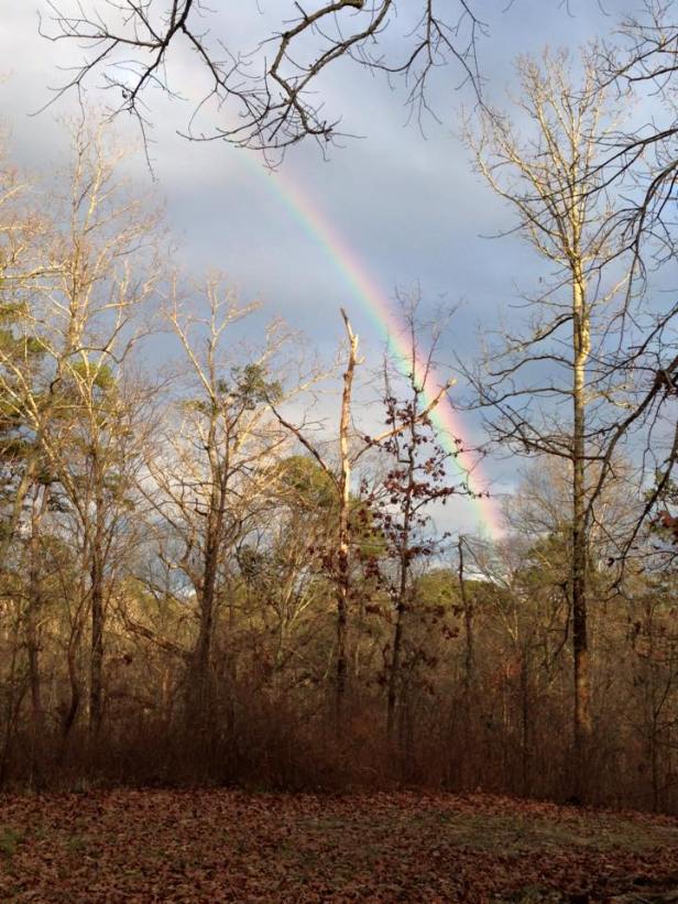 1606902_10206881746820389_1088391966433795763_n