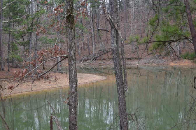 16664921_10154949321629194_2313971133178024031_o